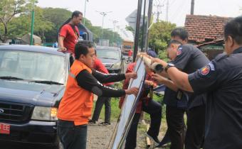Penertiban APK di Jalan Semarang - Demak