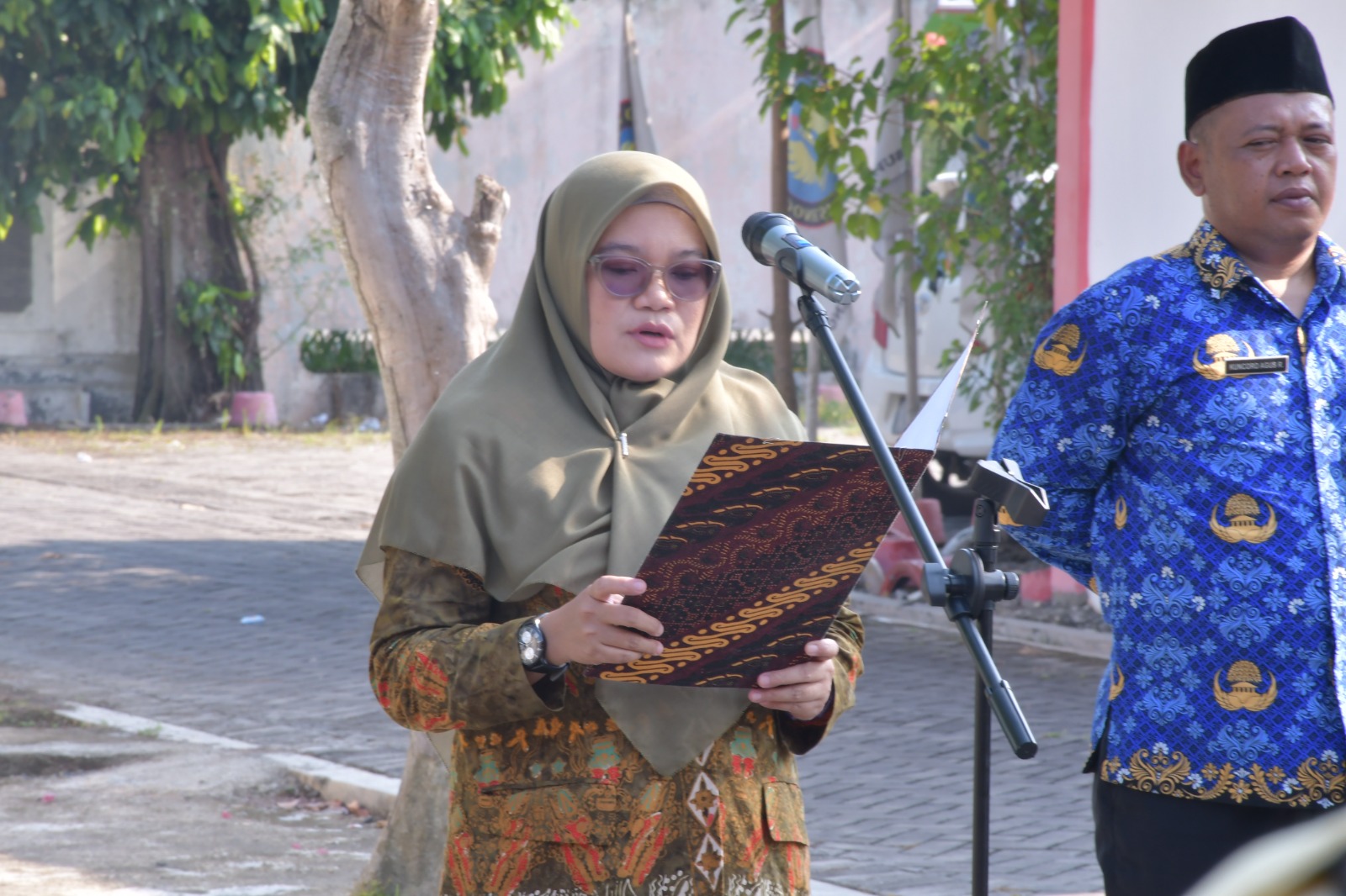 bu pipit