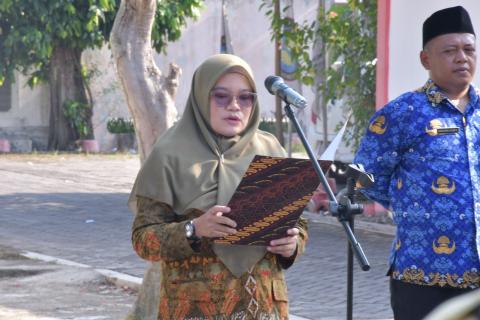 bu pipit