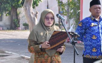 bu pipit